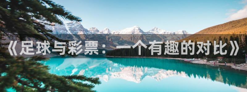 世界杯2026赛程时间表格：《足球与彩票：一个有趣的对比》