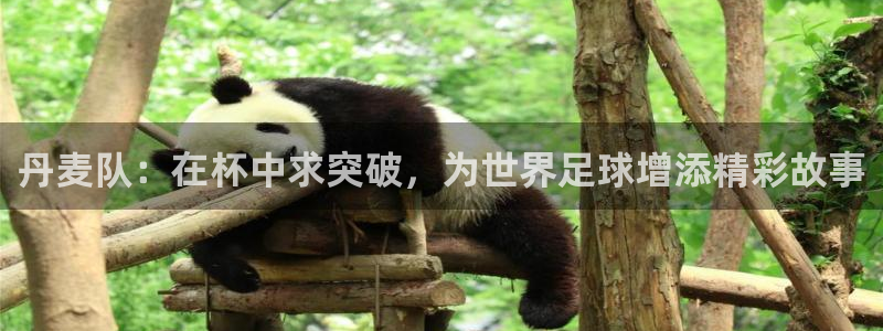 世界杯赛程表2026：丹麦队：在杯中求突破，为世界足球增添精彩故事