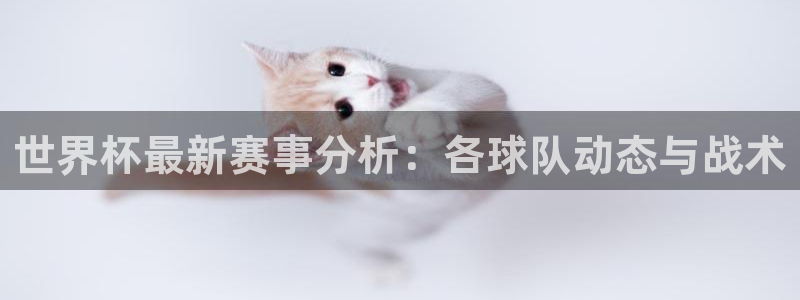 世界杯决赛圈球队：世界杯最新赛事分析：各球队动态与战术