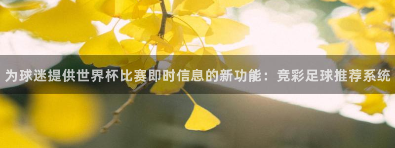 世预赛免费直播入口：为球迷提供世界杯比赛即时信息的新功能：竞彩足球推荐系统