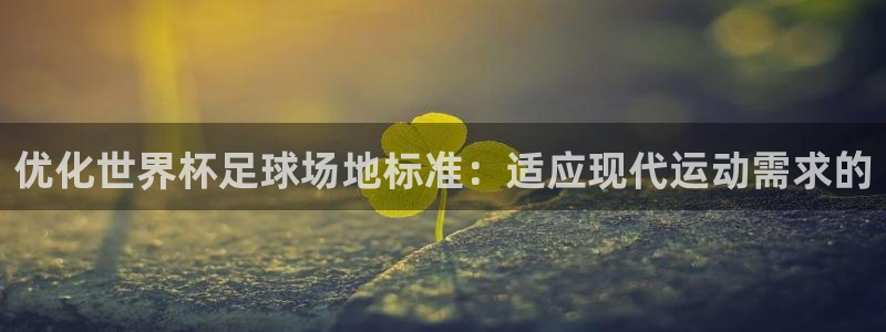 世界杯2026赛程：优化世界杯足球场地标准：适应现代运动需求的