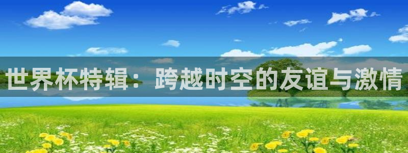 世界杯球赛：世界杯特辑：跨越时空的友谊与激情