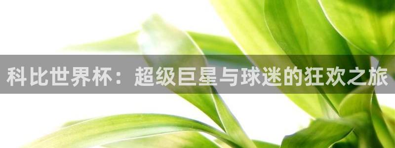 世界杯直播平台：科比世界杯：超级巨星与球迷的狂欢之旅