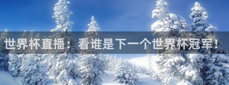美洲杯直播：世界杯直播：看谁是下一个世界杯冠军！