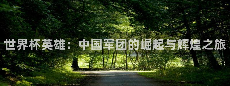西超杯直播：世界杯英雄：中国军团的崛起与辉煌之旅