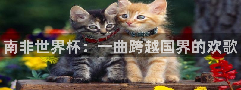 世预赛欧洲赛程表：南非世界杯：一曲跨越国界的欢歌