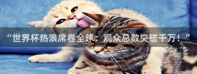 世界杯欧洲区预选赛赛程：“世界杯热浪席卷全球：观众总数突破千万！”