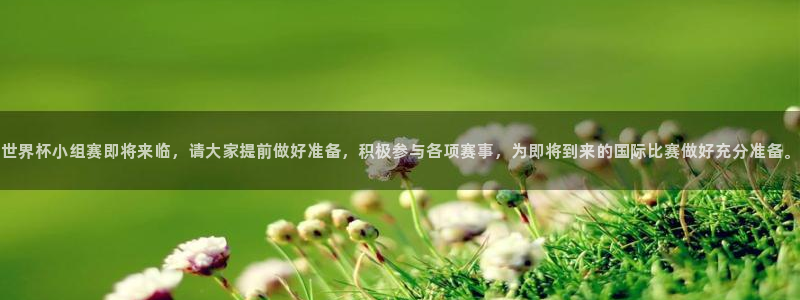 美洲杯直播：世界杯小组赛即将来临，请大家提前做好准备，积极参与各项赛事，为即将到来的国际比赛做好充分准备。