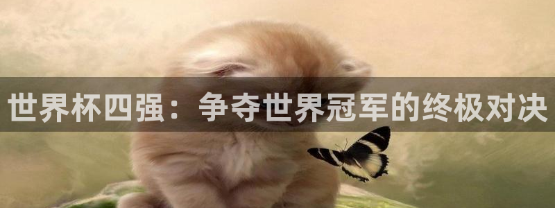 2026世界杯赛程表完整版：世界杯四强：争夺世界冠军的终极对决