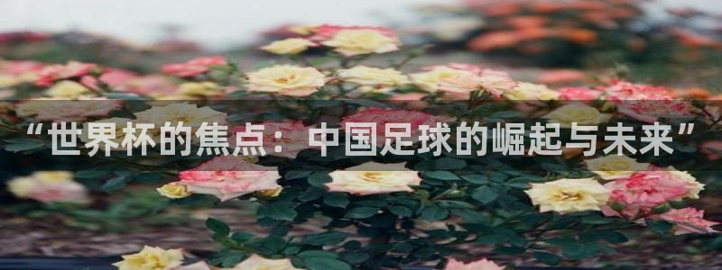 国际足联世界杯：“世界杯的焦点：中国足球的崛起与未来”